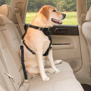 Adjustable-Dog-Leash-Pet-Car-Seat-Belt